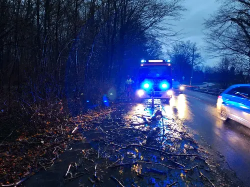 Hilfeleistung: Ast auf Radweg