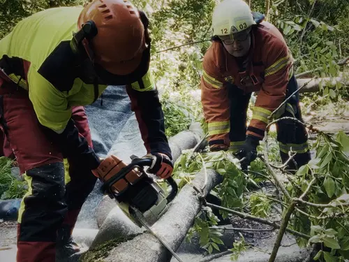Hilfeleistung: Person unter Baum eingeklemmt